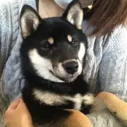 ⭐️まる⭐️の画像