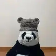 saの画像