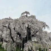 nrm173586の画像