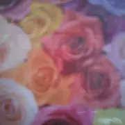 れいか