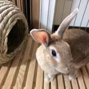 カズの画像