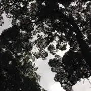 mmmmmの画像