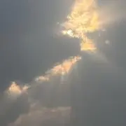shunの画像