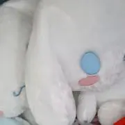 シナモンの画像
