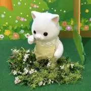 ♡ (断捨離中)の画像