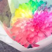 水無