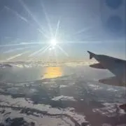ミルの画像
