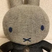 gariyの画像