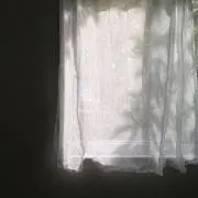 maruの画像
