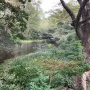 あいと