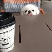 こまめの画像
