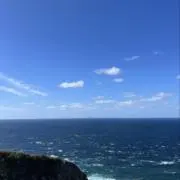 りゅうの画像