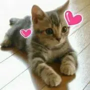 あけ～ちゃん☆