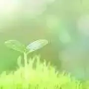 。*・M★A・* 。の画像