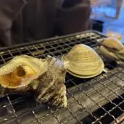 かんぱちの画像