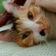 はづきち＊いいね大歓迎♪プロフご一読を♪