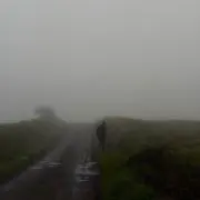 シャドイル