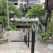 さくらもちの画像