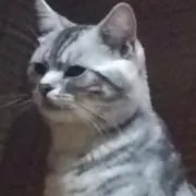 あーる