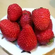 なみの画像