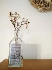メルの画像