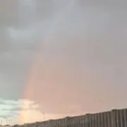 晴れ晴れの画像