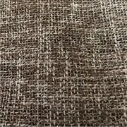 こむぎの画像