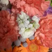 ritaの画像