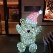 Pinocchioの画像