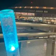 たほ