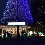 プロフ必読☆★の画像