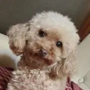 あこ