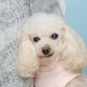 ラケル