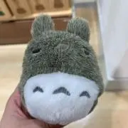 ぴすたちおの画像