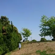 プロフィールご覧ください