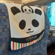 パンダやんけの画像