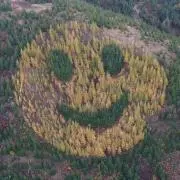 直接引き取り限定】IKEA SALMI ダイニングテーブル/オールドイケア