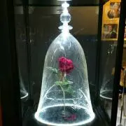 くープロフ必読♡増えると値上の画像