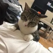 なだねの画像