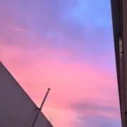 ペティの画像
