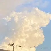 やわらかあめちゃん