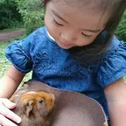 よっぴの画像