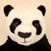 upamaruの画像