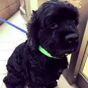 まぁーしぃー