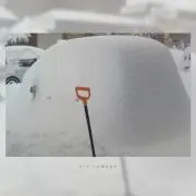 南国サマーの画像