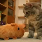 ミチカ
