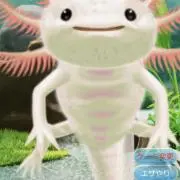 ば