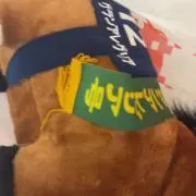ﾊﾟﾝﾊﾟｶﾊﾟｰﾝ‼︎