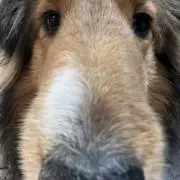 ラテ