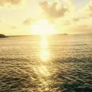☆Shore☆の画像